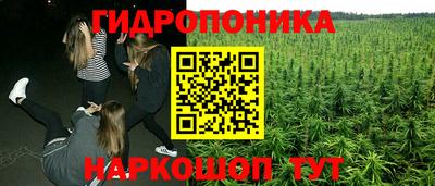 мдпв Тулун