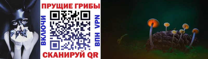 МЕГА как зайти  Советская Гавань  Галлюциногенные грибы MAGIC MUSHROOMS 