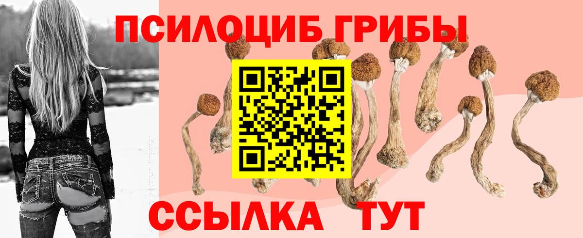 Советская Гавань  Псилоцибиновые грибы мухоморы  Вход с VPN  Псилоцибиновые грибы Psilocybe 