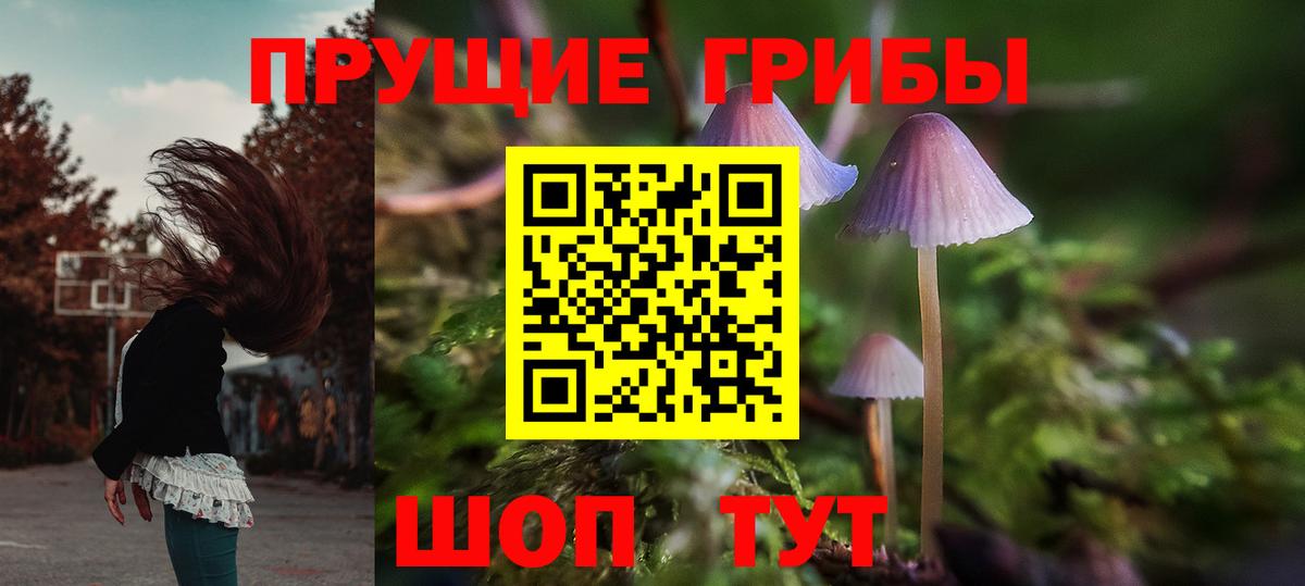 Галлюциногенные грибы мицелий Советская Гавань